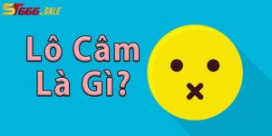 Giới thiệu lô câm tại ST666